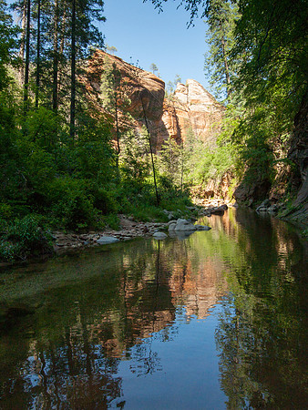 Arizona 2005
