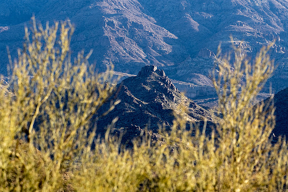 Arizona 2021