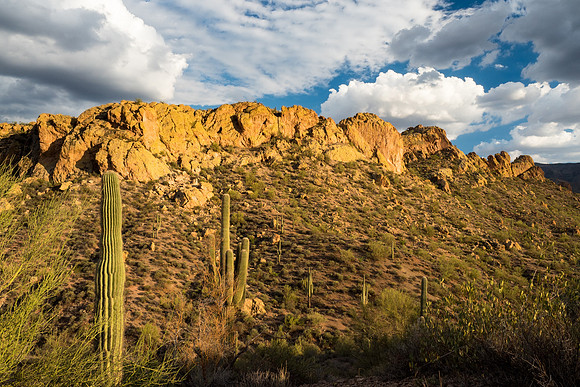 Arizona 2018