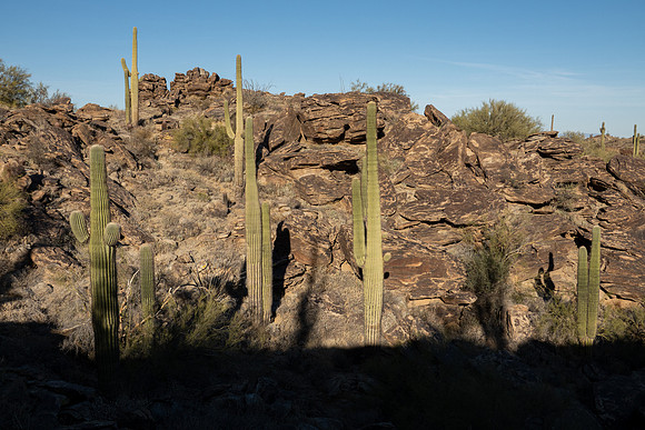 Arizona 2021