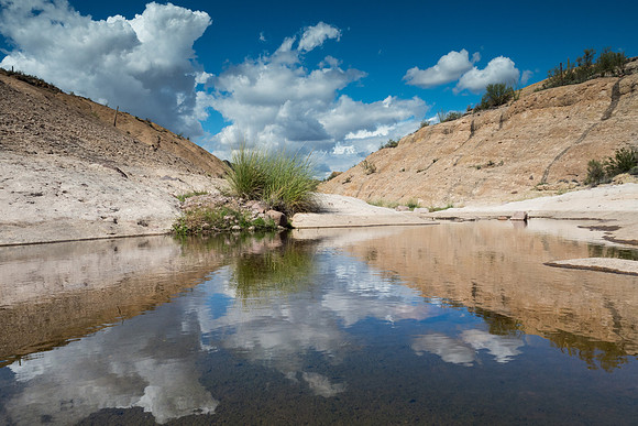 Arizona 2018