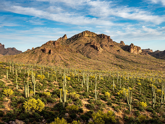 Arizona 2019