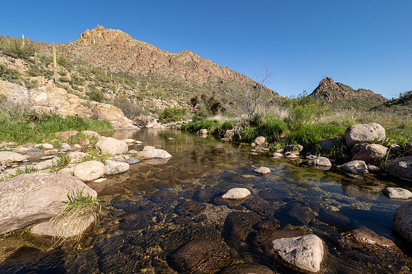 Arizona 2020