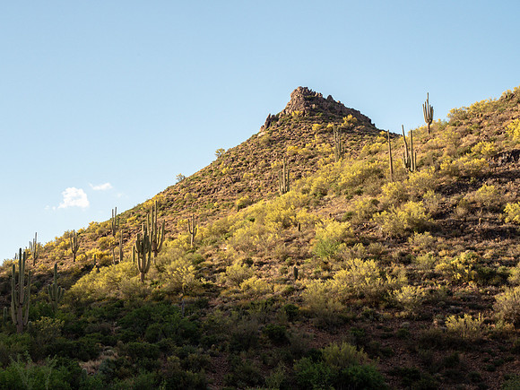 Arizona 2019