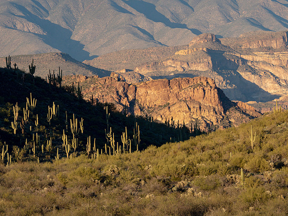 Arizona 2019