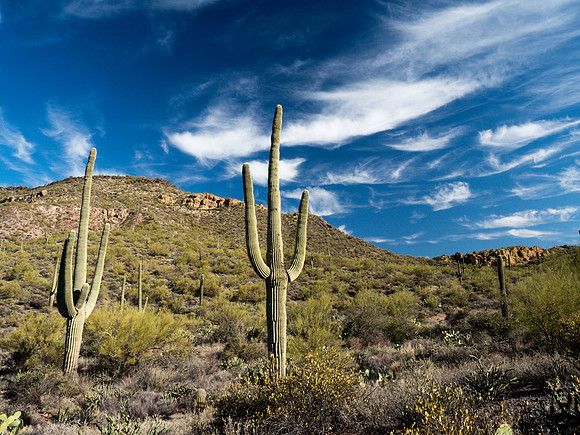 Arizona 2018
