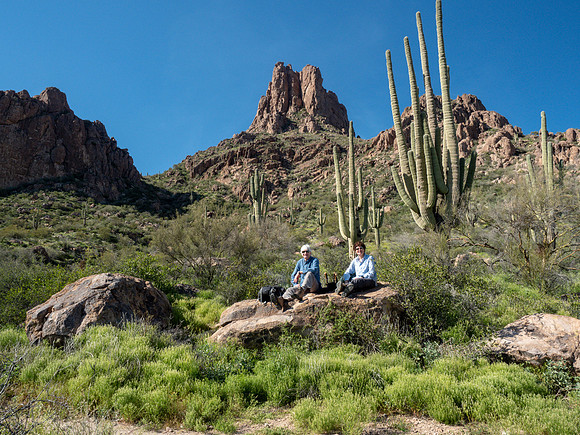 Arizona 2019