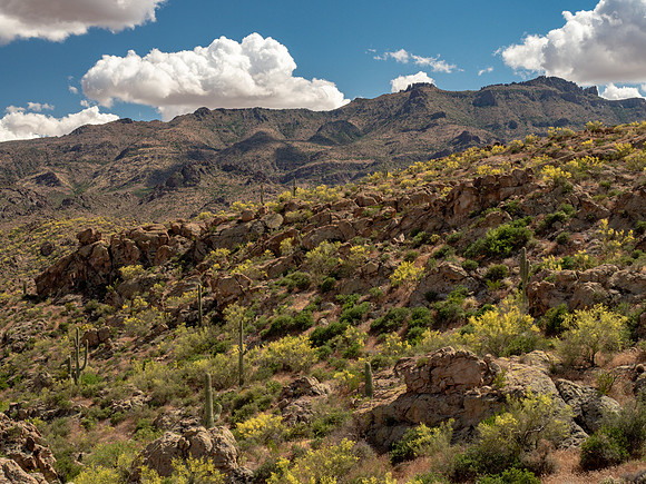 Arizona 2019