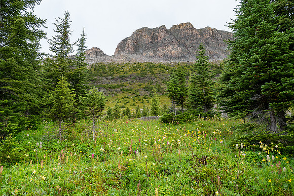 Banff National Park 2025