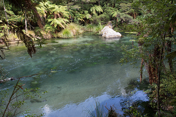 New Zealand 2013