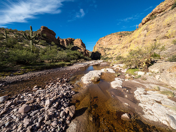 Arizona 2019
