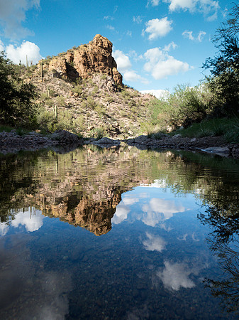 Arizona 2018