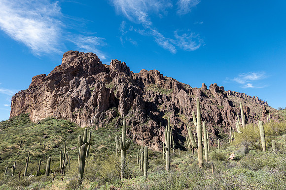 Arizona 2019