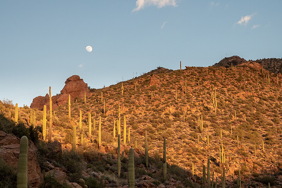 Arizona 2019