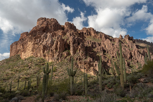 Arizona 2019