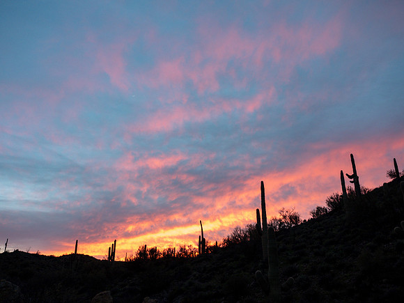 Arizona 2019
