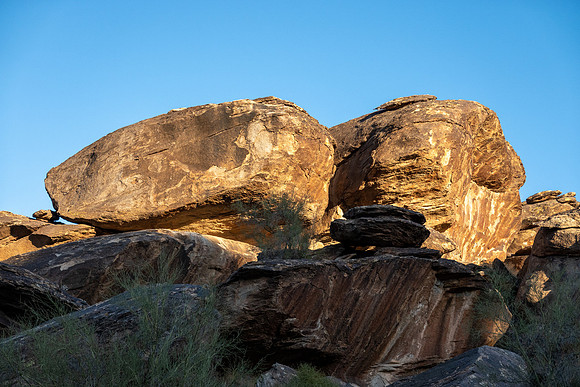 Arizona 2021