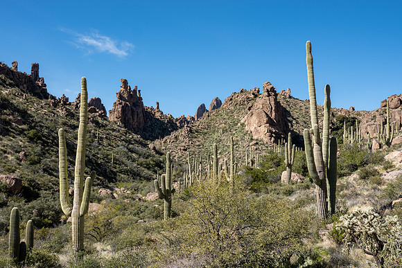 Arizona 2019
