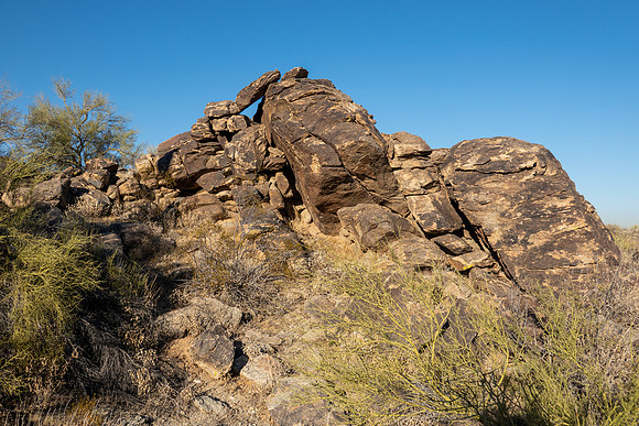 Arizona 2019