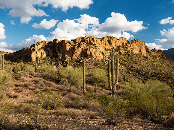 Arizona 2018