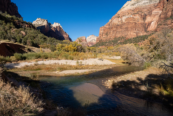 Zion National Park 2024