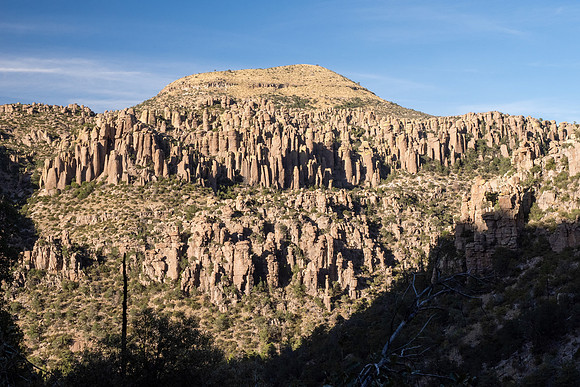 Arizona 2024