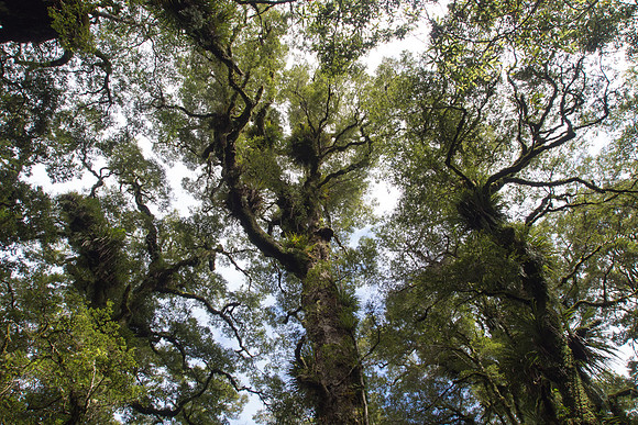 New Zealand 2013