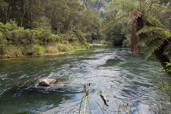 New Zealand 2013