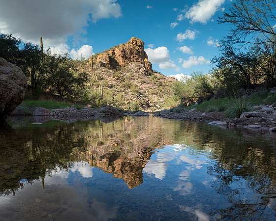 Arizona 2018