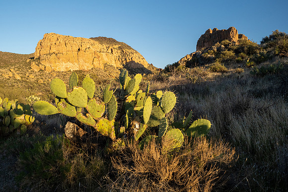 Arizona 2021