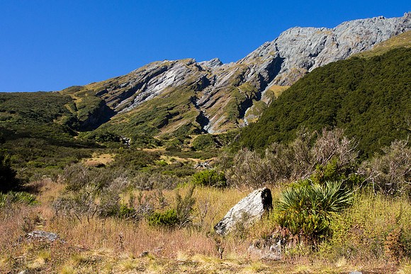 New Zealand 2013
