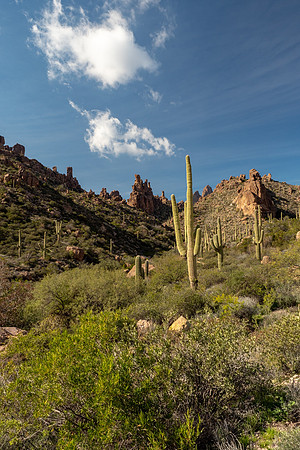 Arizona 2019