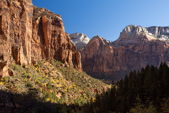 Zion National Park 2024