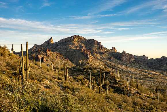 Arizona 2019