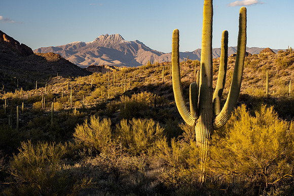 Arizona 2021