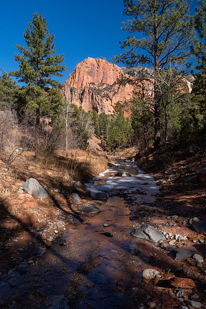 Zion National Park 2024