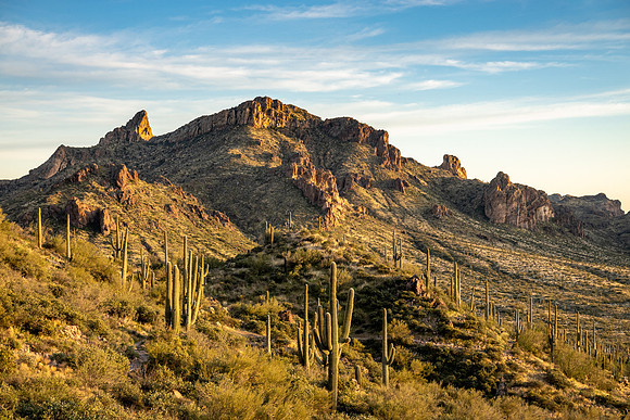 Arizona 2019