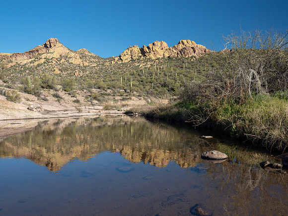 Arizona 2019