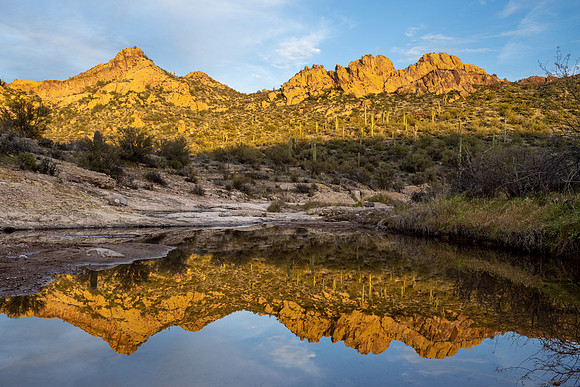 Arizona 2020