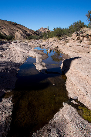 Arizona 2013 - Superstitions Hike First Water to Hackberry Sprin