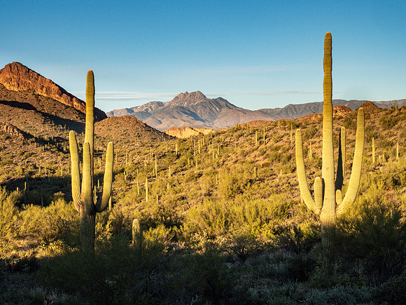 Arizona 2019
