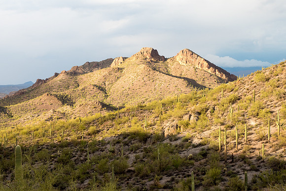 Arizona 2018