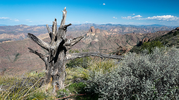 Arizona 2015 - Superstitions Ridge Hike (Mar)