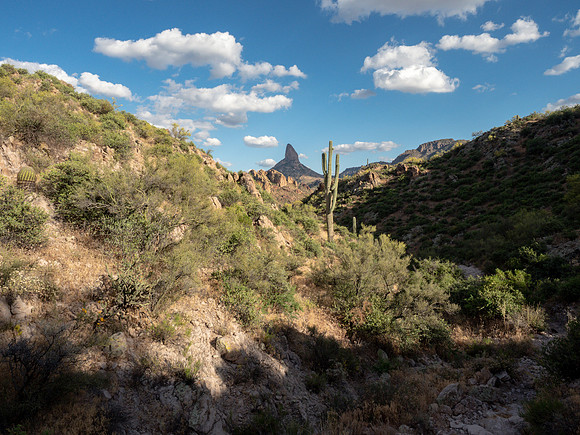 Arizona 2019