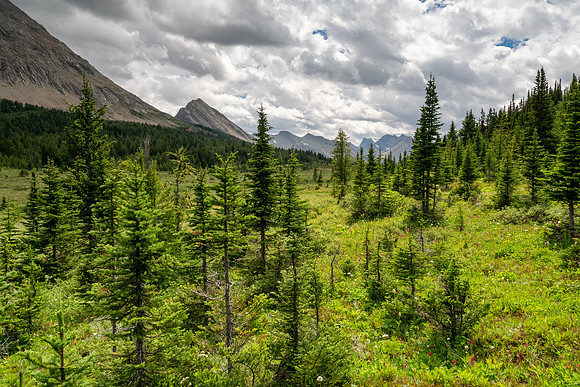 Banff National Park 2025