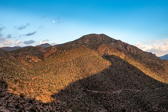 Arizona 2019