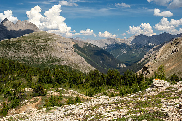 Banff National Park 2025