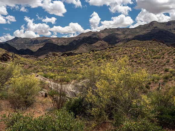 Arizona 2019