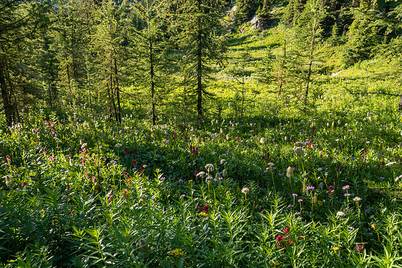 Banff National Park 2025