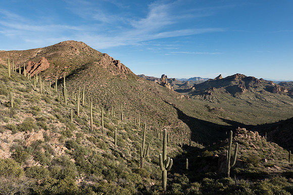 Arizona 2019